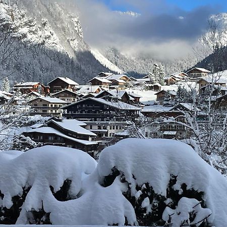 Chalet Yuki 莫尔济讷 外观 照片
