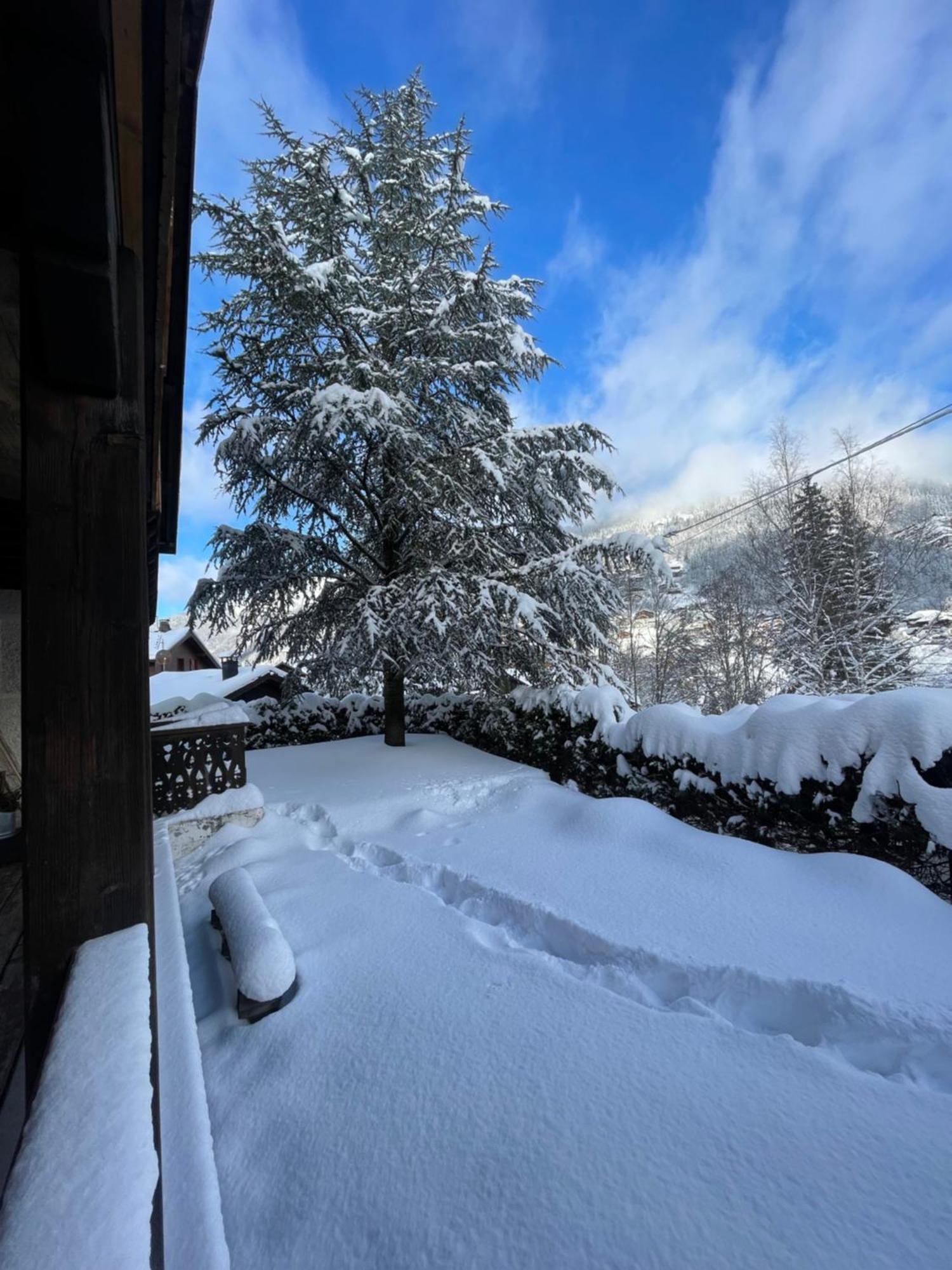 Chalet Yuki 莫尔济讷 外观 照片